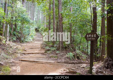 Zwischen Fushiogami-oji und Kumano Hongu Taisha auf Kumano Kodo (Nakahechi Route) in Tanabe, Wakayama, Japan. Es ist Teil des Weltkulturerbes. Stockfoto