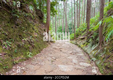 Zwischen Fushiogami-oji und Kumano Hongu Taisha auf Kumano Kodo (Nakahechi Route) in Tanabe, Wakayama, Japan. Es ist Teil des Weltkulturerbes. Stockfoto