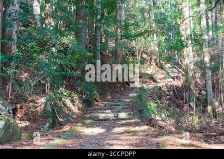 Okumotorigoe Route in der Nähe von Kumano Nachi Taisha auf Kumano Kodo (Nakahechi Route) in Nachikatsuura, Wakayama, Japan. Es ist Teil des Weltkulturerbes. Stockfoto