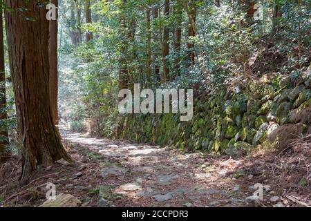 Okumotorigoe Route in der Nähe von Kumano Nachi Taisha auf Kumano Kodo (Nakahechi Route) in Nachikatsuura, Wakayama, Japan. Es ist Teil des Weltkulturerbes. Stockfoto