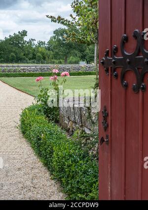 Ein offenes Tor lädt zum Garten mit Rosen ein. Nahaufnahme. Selektiver Fokus. Hauptfokus auf einer Rose. Stockfoto