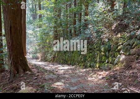 Okumotorigoe Route in der Nähe von Kumano Nachi Taisha auf Kumano Kodo (Nakahechi Route) in Nachikatsuura, Wakayama, Japan. Es ist Teil des Weltkulturerbes. Stockfoto