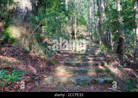 Okumotorigoe Route in der Nähe von Kumano Nachi Taisha auf Kumano Kodo (Nakahechi Route) in Nachikatsuura, Wakayama, Japan. Es ist Teil des Weltkulturerbes. Stockfoto