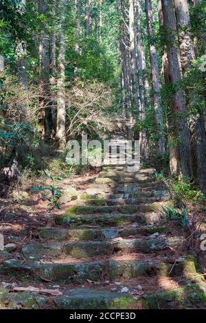 Okumotorigoe Route in der Nähe von Kumano Nachi Taisha auf Kumano Kodo (Nakahechi Route) in Nachikatsuura, Wakayama, Japan. Es ist Teil des Weltkulturerbes. Stockfoto