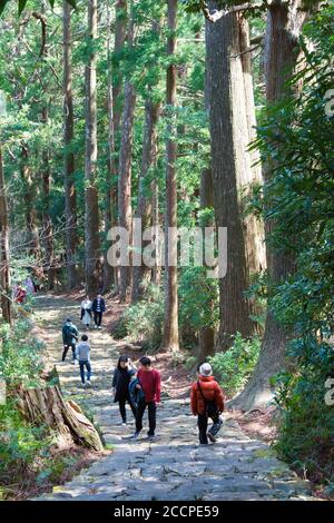 Wakayama, Japan - Daimonzaka Slope auf Kumano Kodo (Nakahechi Route) in Nachikatsuura, Wakayama, Japan. Es ist Teil des UNESCO-Weltkulturerbes. Stockfoto