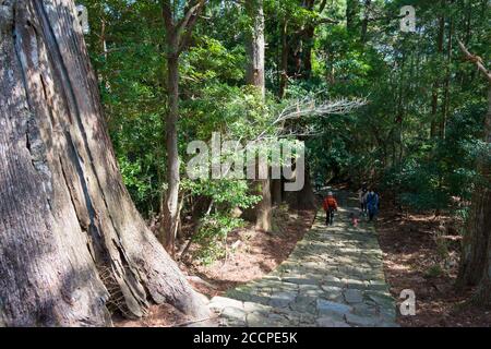 Wakayama, Japan - Daimonzaka Slope auf Kumano Kodo (Nakahechi Route) in Nachikatsuura, Wakayama, Japan. Es ist Teil des UNESCO-Weltkulturerbes. Stockfoto