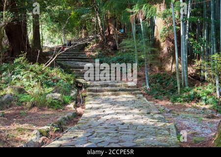 Wakayama, Japan - Daimonzaka Slope auf Kumano Kodo (Nakahechi Route) in Nachikatsuura, Wakayama, Japan. Es ist Teil des UNESCO-Weltkulturerbes. Stockfoto