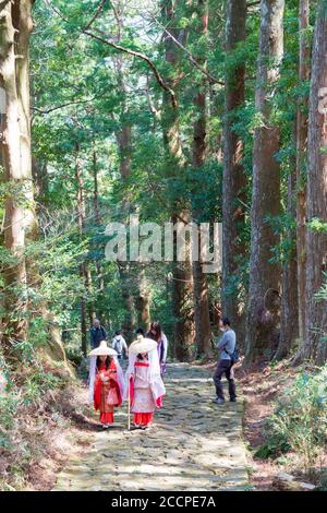 Wakayama, Japan - Daimonzaka Slope auf Kumano Kodo (Nakahechi Route) in Nachikatsuura, Wakayama, Japan. Es ist Teil des UNESCO-Weltkulturerbes. Stockfoto