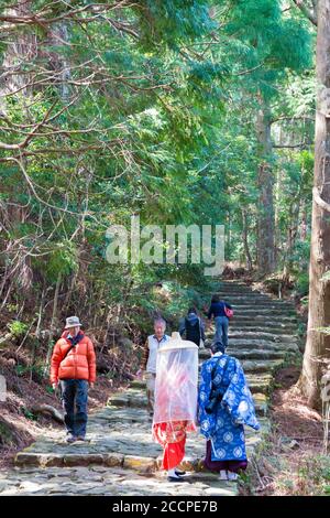 Wakayama, Japan - Daimonzaka Slope auf Kumano Kodo (Nakahechi Route) in Nachikatsuura, Wakayama, Japan. Es ist Teil des UNESCO-Weltkulturerbes. Stockfoto