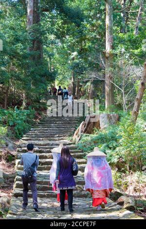 Wakayama, Japan - Daimonzaka Slope auf Kumano Kodo (Nakahechi Route) in Nachikatsuura, Wakayama, Japan. Es ist Teil des UNESCO-Weltkulturerbes. Stockfoto