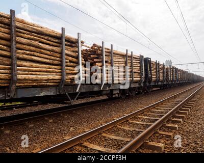 Zug LKW auf Eisenbahnlinie mit Holzstämmen geladen bereit Für den Transport zu einer Papierfabrik Stockfoto