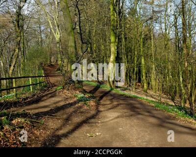 Sehr alter und historischer Wanderweg in Deutschland genannt "Wittekindsweg" . Das Foto wurde im frühen Frühling aufgenommen. Stockfoto