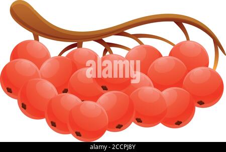 Symbol für die Verzweigung „Rowan“. Cartoon von Eberesche Zweig Vektor-Symbol für Web-Design isoliert auf weißem Hintergrund Stock Vektor