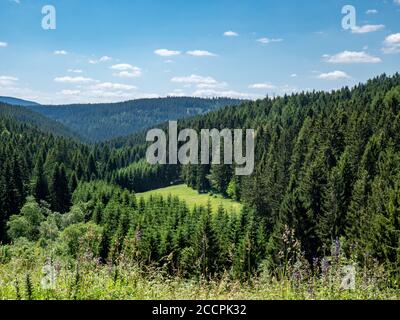 Blick über den Thüringer Wald in Deutschland Stockfoto