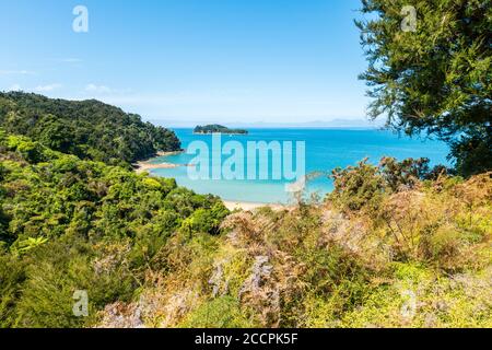 Türkisfarbenes Wasser trifft auf weiße Strände und Regenwälder im Abel Tasman National Park. Palmen und Baumfarne dominieren den Wald, bewaldete Inseln können b Stockfoto