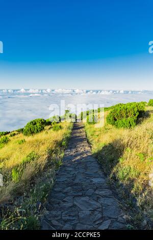 Fußweg von 'Achada do Teixeira' zum 'Pico Ruivo' in Santana, Madeira, Portugal, an einem sonnigen Tag. Stockfoto