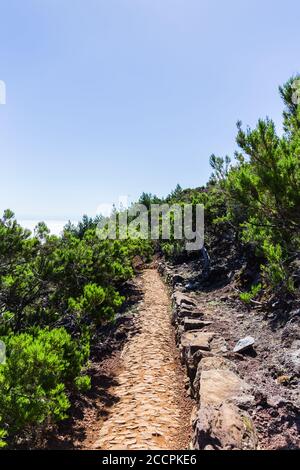 Fußweg von 'Achada do Teixeira' zum 'Pico Ruivo' in Santana, Madeira, Portugal, an einem sonnigen Tag. Stockfoto