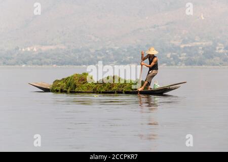 Bilder aus Myanmar, dem Inle-See, seinem berühmten Beinrudern der Intha, der Farbe der Seenspiegelungen und dem asiatischen Lebensstil auf dem Inle-See Stockfoto