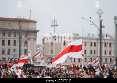 Die Flagge von Weißrussland. Weiß rot weiß. Friedlicher Protest in Minsk. 23. August 2020 Stockfoto