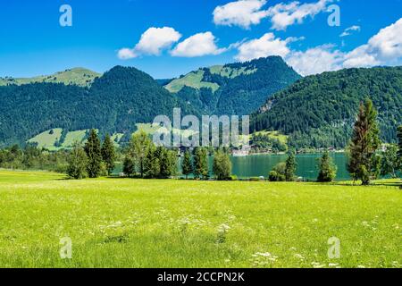 Walchsee bei Koessen am Wilden und Zahmer Kaiser in Tirol, Österreich. Stockfoto