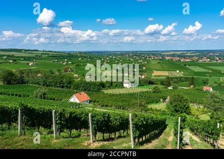 Blick auf Villany Weinberge in Blocks vom Szarsomlyo Hügel Oben mit kleinen Häusern Stockfoto