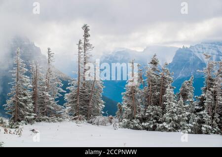 Logan Pass Stockfoto