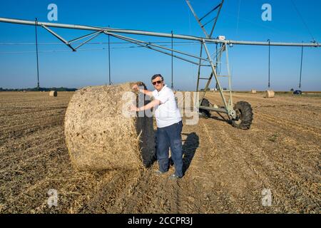 Der Bauer steht neben einem großen Strohballen. Nach der Weizenernte wird das Stroh mechanisch geballt und für Tierfutter gelagert. Bewässerungssystem Stockfoto