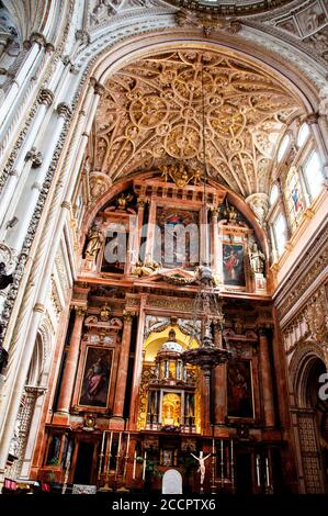 Decke der Kathedrale von Cordoba in Cordoba, Andalusien Spanien. Stockfoto