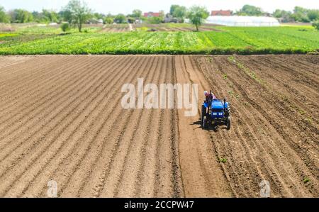 Landwirt auf einem Traktor fährt auf einem Feld. Landwirtschaft und Agrarindustrie. Gemüseanbau. Verarbeitung und Umwandlung von Boden für landwirtschaftliche n Stockfoto