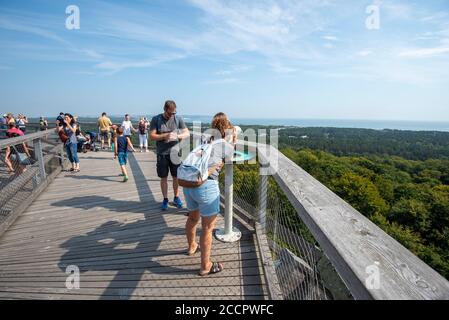 Prora, Deutschland. August 2020. Touristen genießen den Blick vom 40 Meter hohen Aussichtsturm auf dem Baumkronenweg. Der Turm wurde um eine Kupferbuche gebaut. Sie hat die Form eines Adlerhorstes und befindet sich im Naturdenkmal-Zentrum in einem Buchenwald auf der Insel Rügen. Der Baumkronenweg ist insgesamt 1250 Meter lang. Quelle: Stephan Schulz/dpa-Zentralbild/ZB/dpa/Alamy Live News Stockfoto