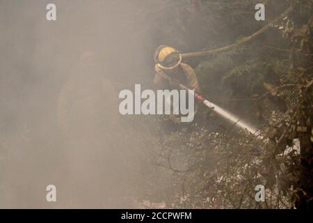 Boulder Creek, Kalifornien, USA. August 2020. Boulder CreekÃs alle Volunteer Fire Crews kämpfen gegen den CZU Lightning Complex Fire: Boulder Creek Area, in der Nähe von Santa Cruz. Quelle: Amy Katz/ZUMA Wire/Alamy Live News Stockfoto