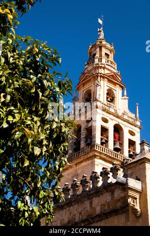 Auf einem Minarett erbaut, ist der Glockenturm Torre del Alminar in Cordoba, Spanien, ein Denkmal für Erbe und Freiheit. Stockfoto