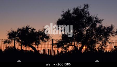 Marseillan, Frankreich. August 2020. Abendstimmung am Strand in Marseillan Plage. Quelle: Waltraud Grubitzsch/dpa-Zentralbild/ZB/dpa/Alamy Live News Stockfoto