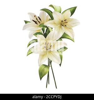 Schöne Karte mit weißen Lilien, Bouquet auf weiß Stockfoto