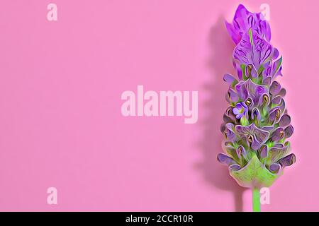 Schöne 3D Rendering einer lila Blume isoliert auf einem Rosa Hintergrund mit Kopierbereich Stockfoto