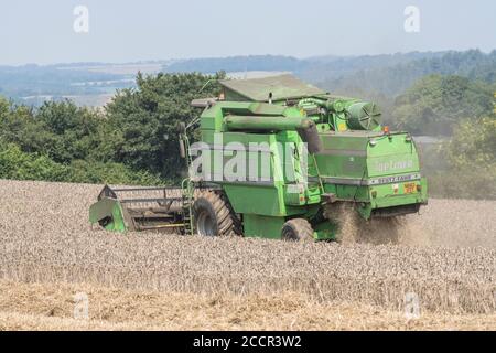 DEUTZ-Fahr 4065 Mähdrescher Schneiden 2020 UK Weizenernte an heißen Sommertagen & Füllung Luft mit Staub. Zinkenrolle, Seitenrohr und Strohschüttler sichtbar. Stockfoto