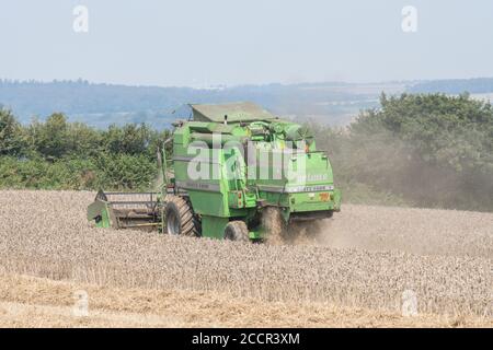 DEUTZ-Fahr 4065 Mähdrescher Schneiden 2020 UK Weizenernte an heißen Sommertagen & Füllung Luft mit Staub. Zinkenrolle, Seitenrohr und Strohschüttler sichtbar. Stockfoto