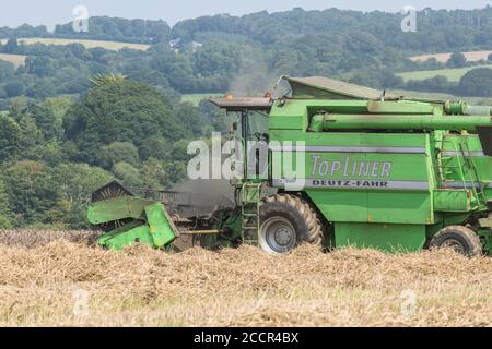 DEUTZ-Fahr 4065 Mähdrescher Schneiden 2020 UK Weizenernte an heißen Sommertagen & Füllung Luft mit Staub. Zinkenrolle und Fahrerkabine sichtbar. Britischer Weizen. Stockfoto