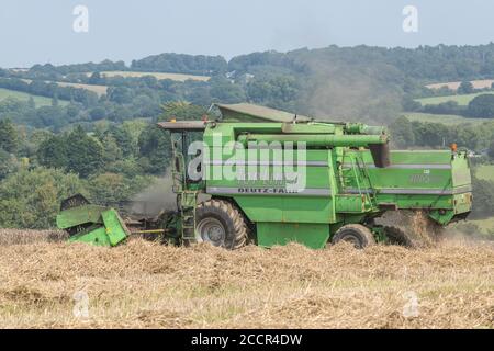 DEUTZ-Fahr 4065 Mähdrescher Schneiden 2020 UK Weizenernte an heißen Sommertagen & Füllung Luft mit Staub. Zinkenrolle, Seitenrohr und Strohschüttler sichtbar. Stockfoto