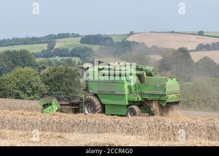 DEUTZ-Fahr 4065 Mähdrescher Schneiden 2020 UK Weizenernte an heißen Sommertagen & Füllung Luft mit Staub. Zinkenrolle, Seitenrohr und Strohschüttler sichtbar. Stockfoto
