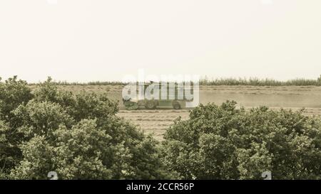 Manipuliertes stilisiertes Bild von Deutz-Fahr Mähdrescher auf Hügelkamm & umgeben von Staub & Spreu Wolken, wie es UK Weizenfeld schneidet. Heißes Wetter. Stockfoto