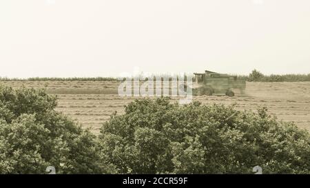 Manipuliertes stilisiertes Bild von Deutz-Fahr Mähdrescher auf Hügelkamm & umgeben von Staub & Spreu Wolken, wie es UK Weizenfeld schneidet. Heißes Wetter. Stockfoto