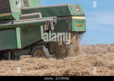 Back End von John Deere Mähdrescher Schneiden Weizenernte. Korntank, Seitenrohr und Strohschüttler sichtbar. Für 2020 UK Weizenernte. Stockfoto