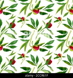 Nahtloses Muster mit Knospen. Aquarell handgezeichnete rosa Pfingstrosen Knospen mit Blättern endlos wiederholbare Elemente auf weißem Hintergrund. Design für Textil, Hochzeit Stockfoto