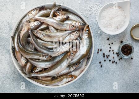 Roch. Frischer roher kleiner Fisch in einer weißen Schale auf grauem Betongrund. Gewürze-grobes Meersalz und schwarzer Pfeffer. Selektiver Fokus, Draufsicht Stockfoto