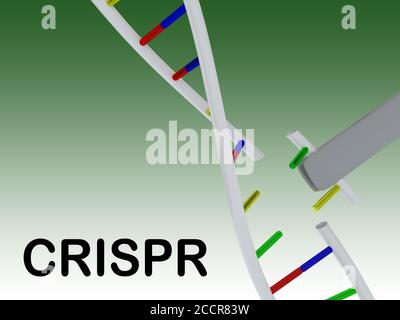 3D-Illustration des CRISPR-Skripts mit DNA-Doppelhelix, isoliert über grünem Gradienten. Stockfoto