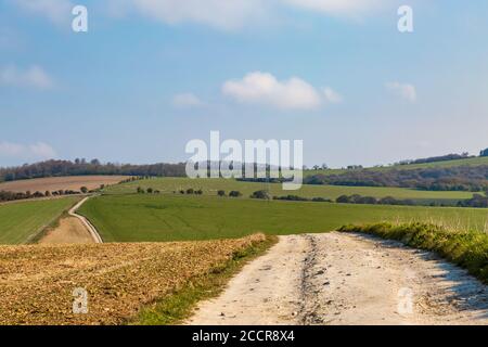 Ein Kreideweg über Balmer Down in Sussex, an einem sonnigen Frühlingsmorgen Stockfoto