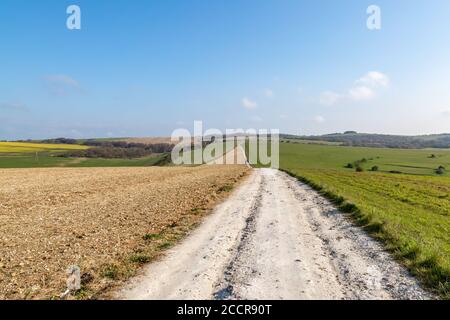 Ein Kreideweg über Balmer Down in Sussex, an einem sonnigen Frühlingsmorgen Stockfoto