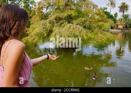 Junge Frau, die um einen lokalen See herum unterwegs ist, rückwärts zur Kamera. Zeigt auf einige Enten im Hintergrund. Stockfoto