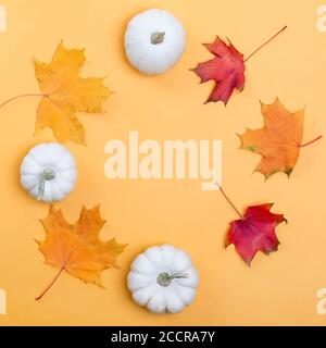 Kreative Komposition mit Ahornblättern und weißen Zierkürbissen. Herbstrahmen. Vorlage für Halloween oder Thanksgiving Stockfoto